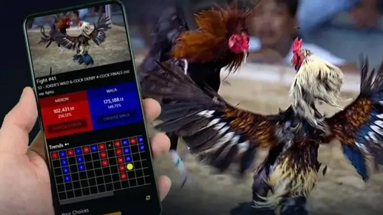 Đá Gà 58Win Trải Nghiệm Đỉnh Cao Thể Thao Trực Tuyến